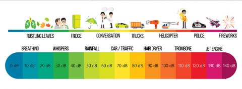 The Human Hearing Frequency Range and Audible Sounds | Nuheara